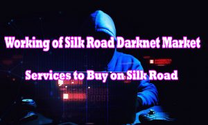 Working of Silk Road Darknet Market