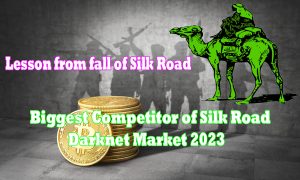 Lesson from fall of Silk Road