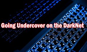 Going Undercover on the DarkNet