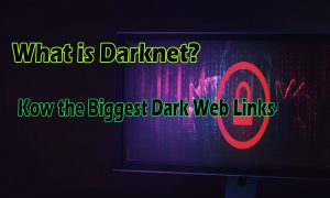 What is Darknet