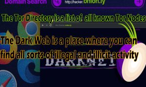 Some of the biggest dark web websites